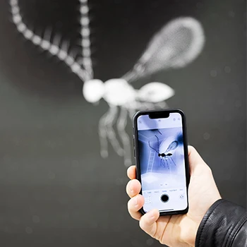 Kunstwerk aus der Ausstellung EVERYTHING BEGINS TO FLOAT: ein Insekt als Farbnegativ in Grautönen im Hintergrund und auf einem Smartphone im Vordergrund in Blautönen.